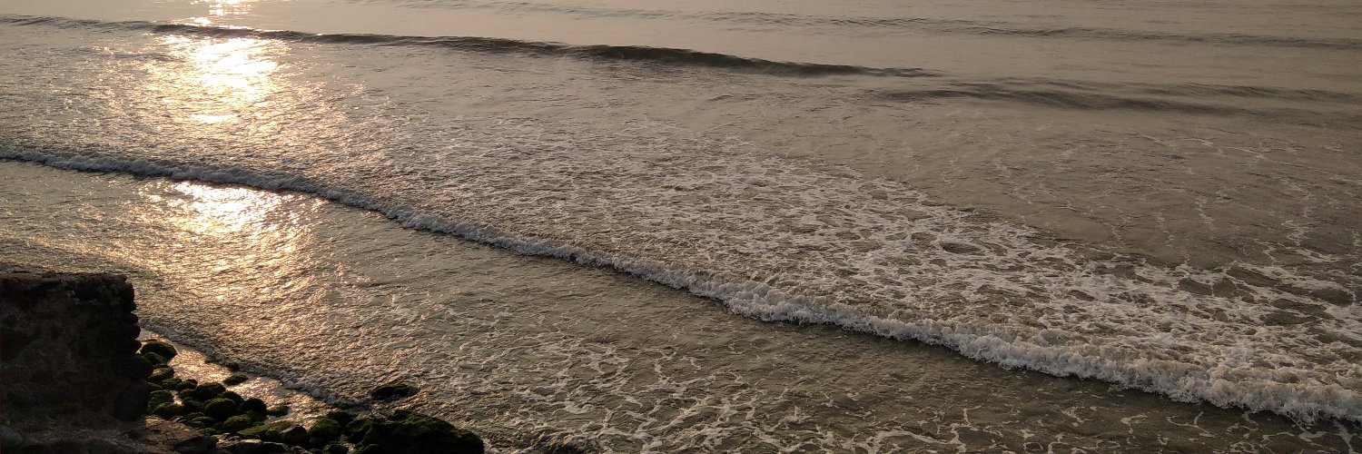aliandradeem's profile banner image