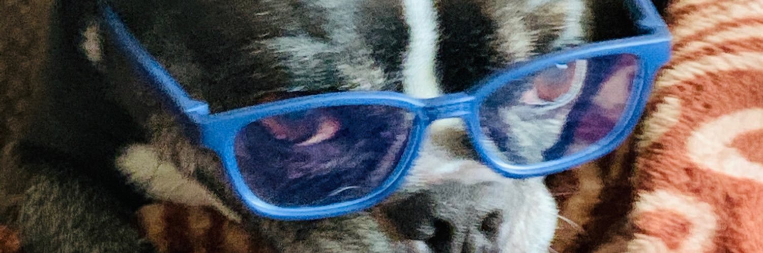 MJBuller's profile banner image