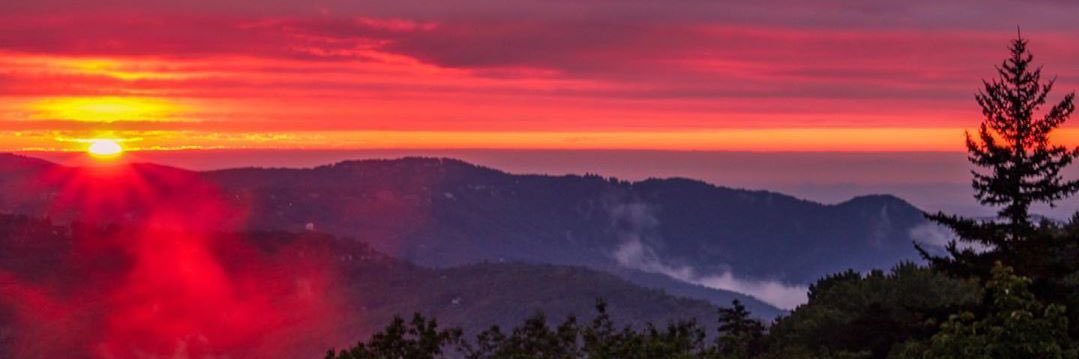 MooreAlyne's profile banner image