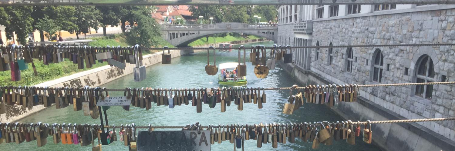 Lisa Labinowicz banner