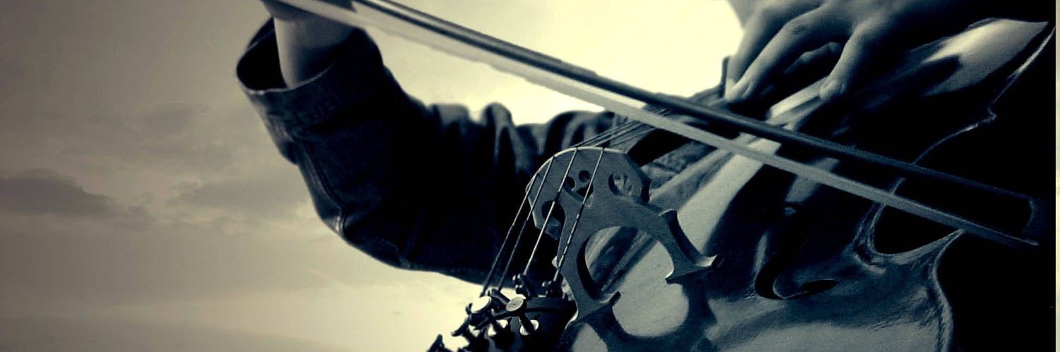 ZavaYit's profile banner image