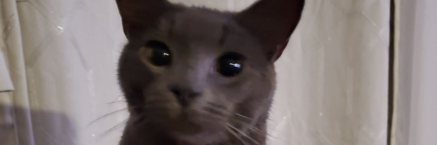 applecidah's profile banner image