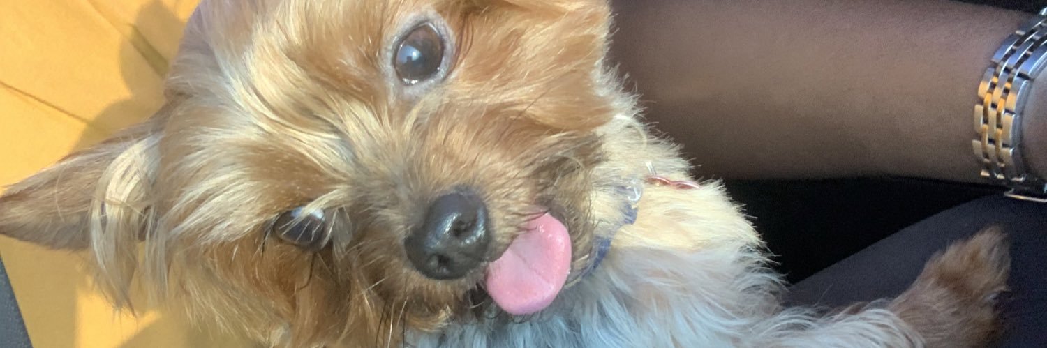 jackthanites's profile banner image