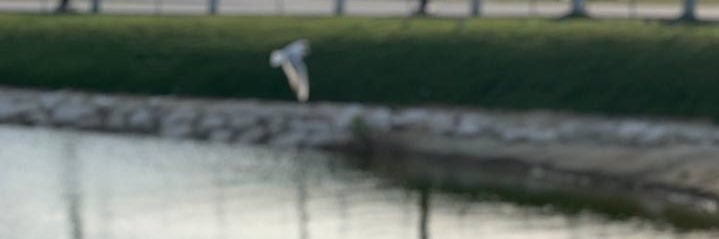 roje79's profile banner image