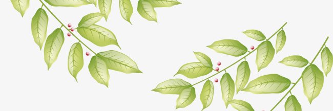 Laymii_lay's profile banner image