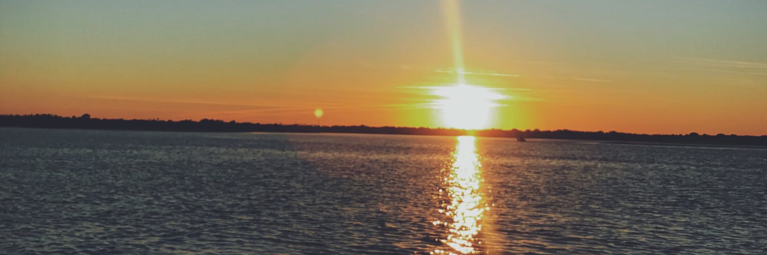 lizlvaughn's profile banner image