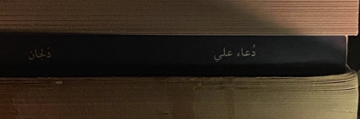 duaa_dilgan's profile banner image