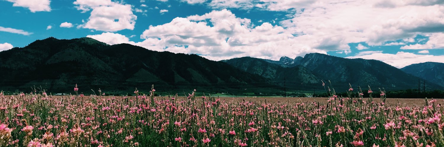 maggiemae786's profile banner image