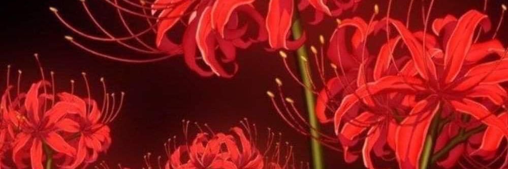 pevchaz's profile banner image