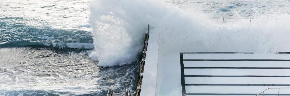 Rebecca Santos banner