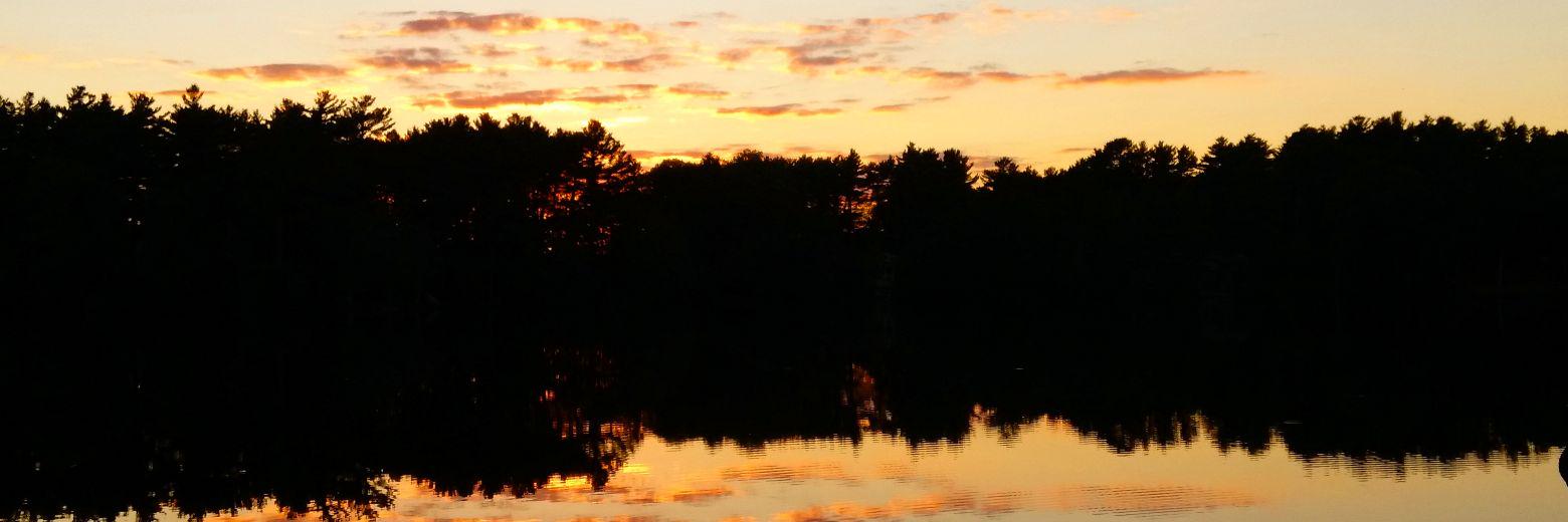 twizz712's profile banner image