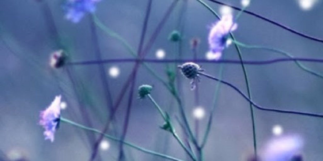 Charlie_babe207's profile banner image