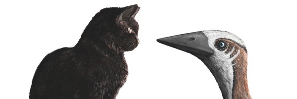 gimpasaura Profile Banner