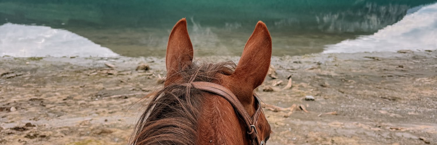 ʀᴇᴍɪɴɢᴛᴏɴ banner