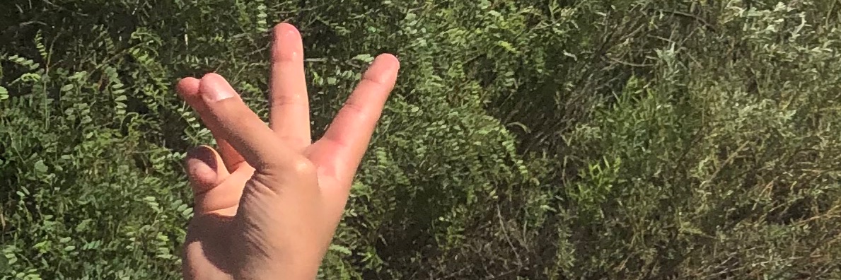 Ruben_g43's profile banner image