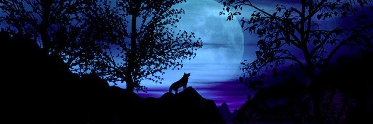 Wolf_Master_'s profile banner image