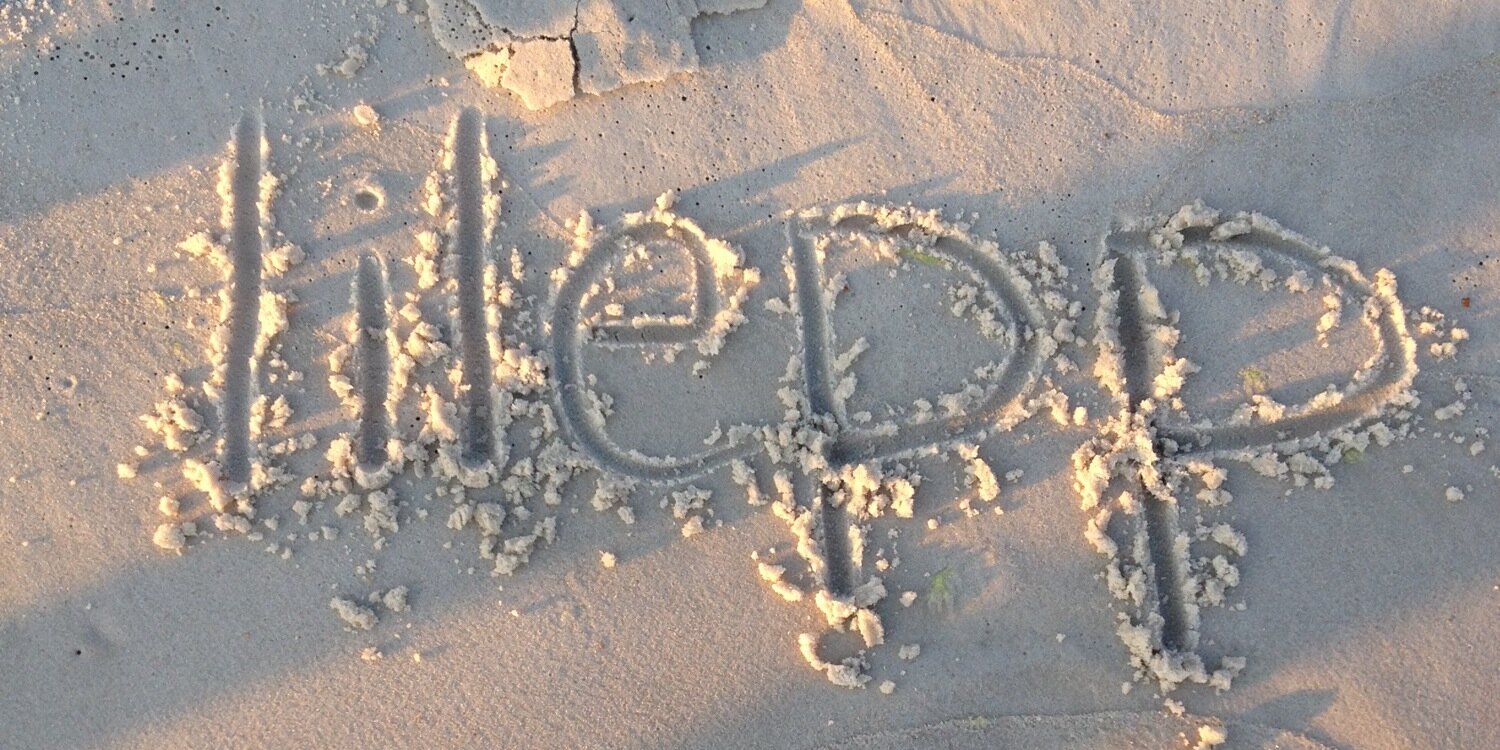 lilepp's profile banner image