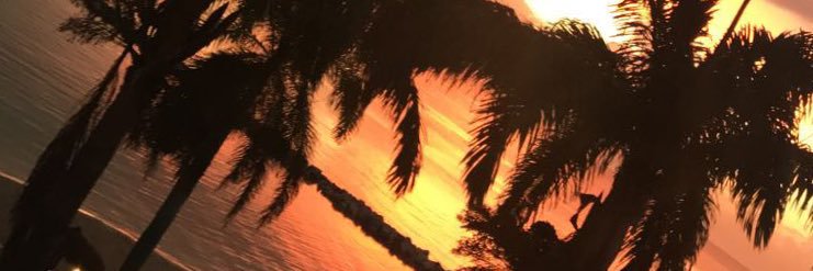 victoriaazer's profile banner image