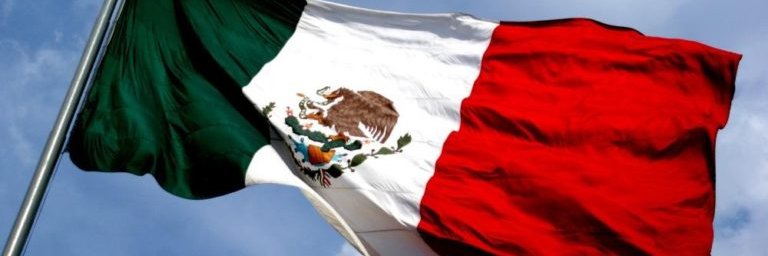 Elizabeth Mateos banner