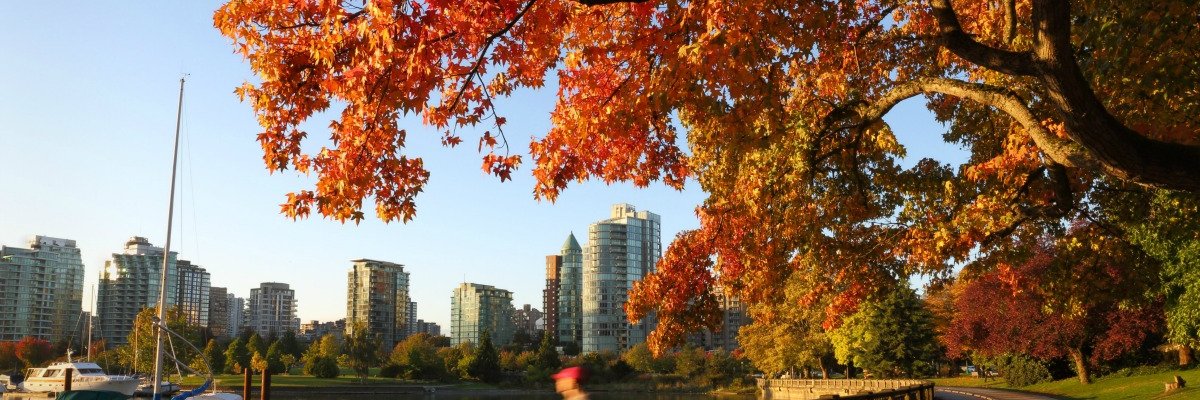 Hoop Dog 🇨🇦 banner