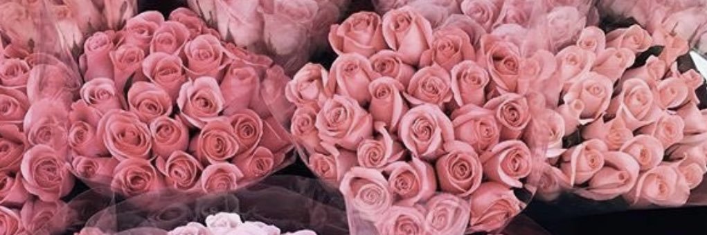 jsonnaXOXO's profile banner image