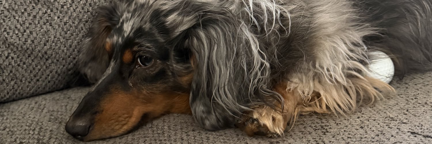 PepperSaltsman's profile banner image