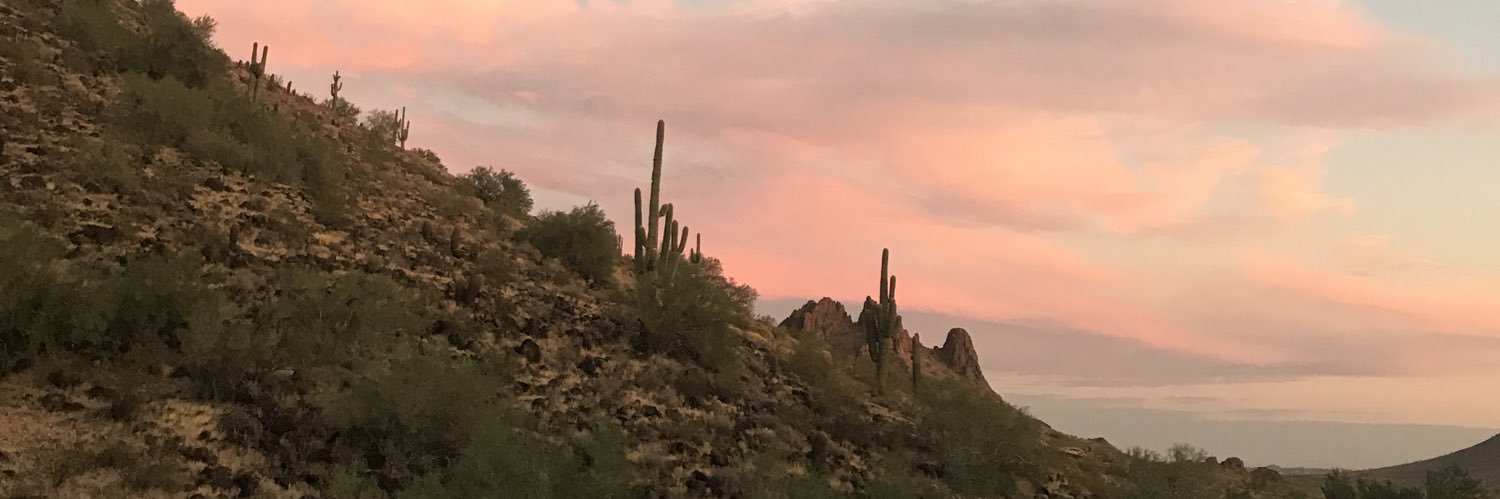joycechenxx's profile banner image