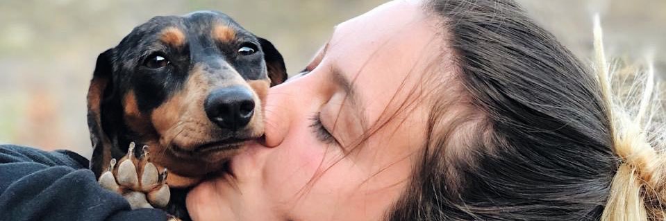 justbeebsin's profile banner image