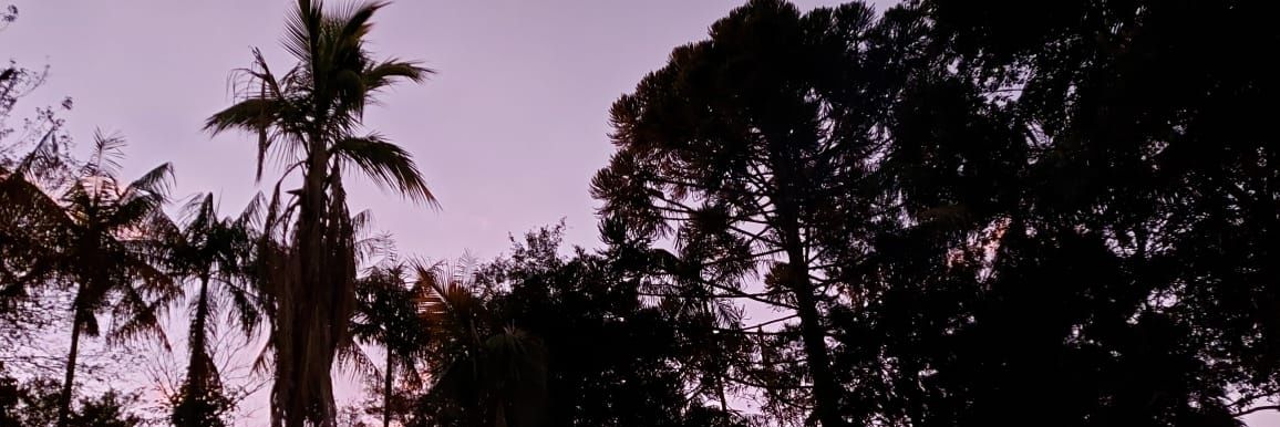 LBortolotti's profile banner image