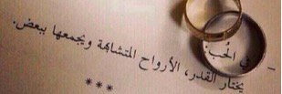 joli_sh's profile banner image