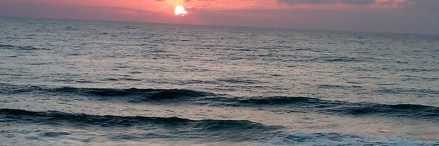 bosko_cat's profile banner image
