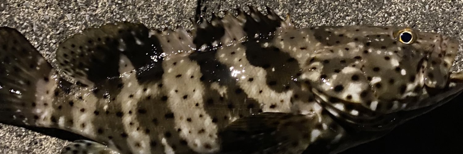 Mikamashou's profile banner image