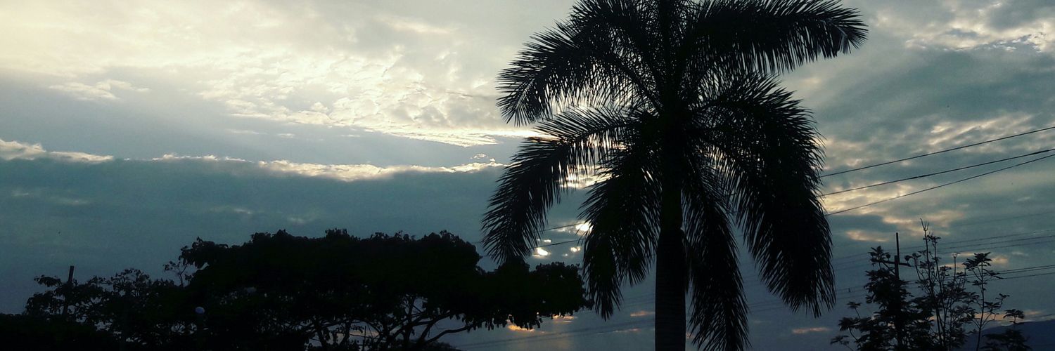 ceronnatav_'s profile banner image