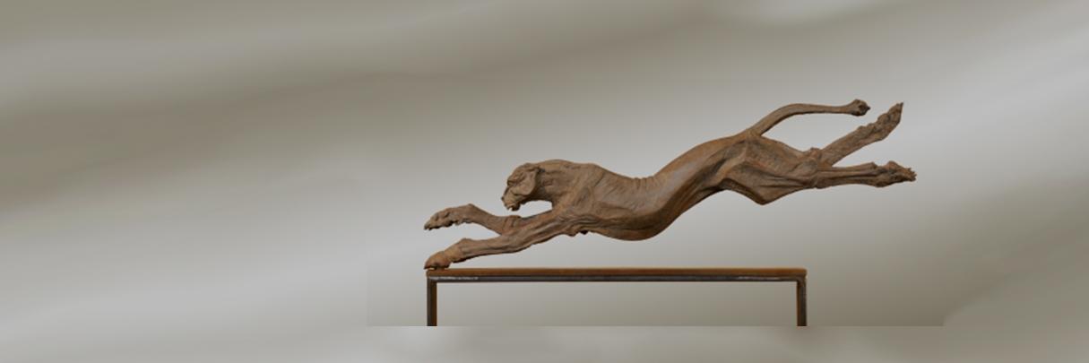 Treasurer Search banner