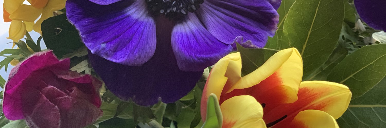 nashers78's profile banner image