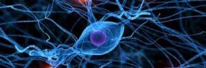 Neurophysify's profile banner image