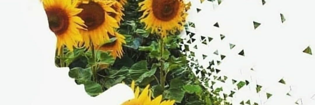 DayKelly0502's profile banner image