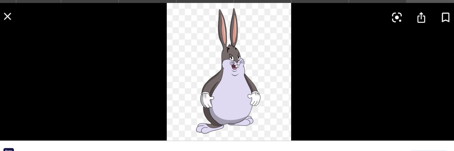 Rick Roundhouse banner