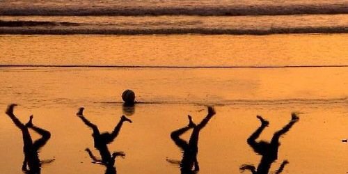 Marie T Robertson banner