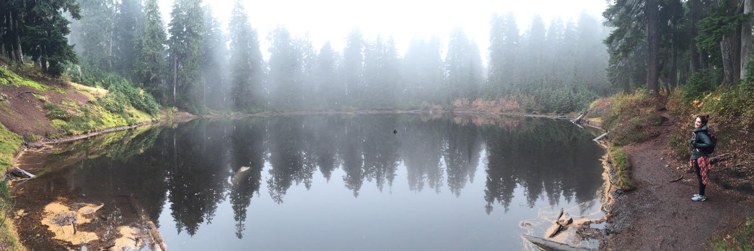 wilskerscience's profile banner image