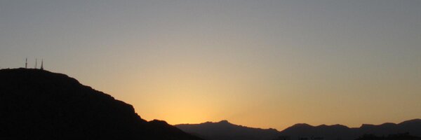 MyceliMan Profile Banner