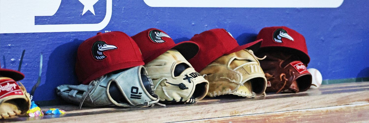Great Lakes Loons's banner