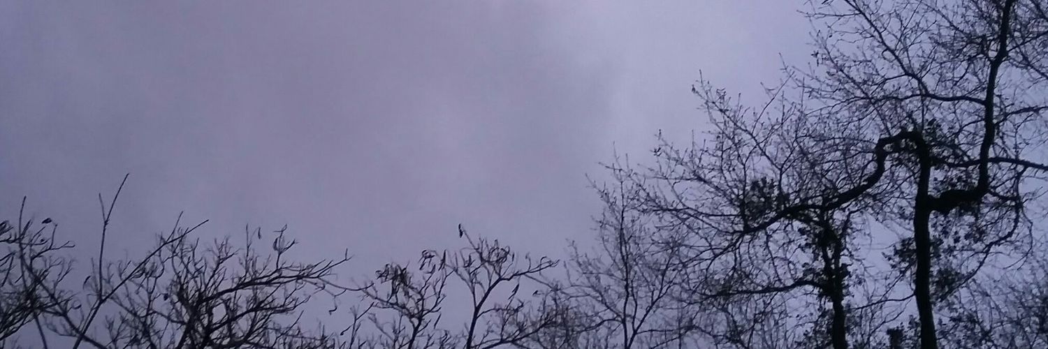 MagyD927's profile banner image