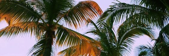 ShizzthaGreat_'s profile banner image