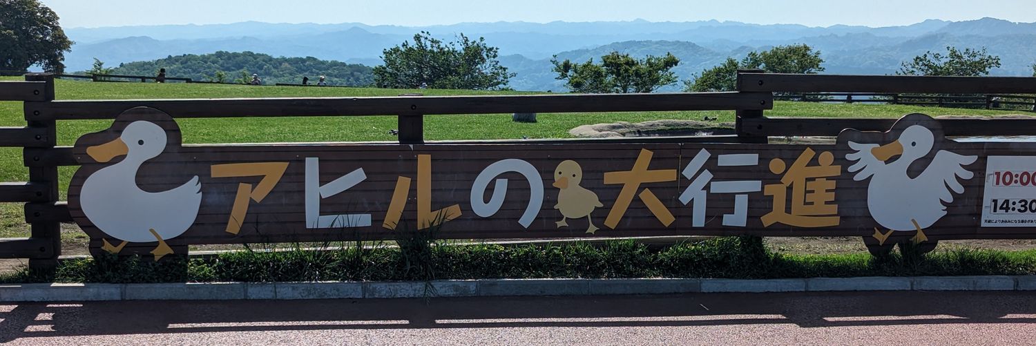 卜部卜伝𖥽 banner
