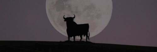 juss8's profile banner image