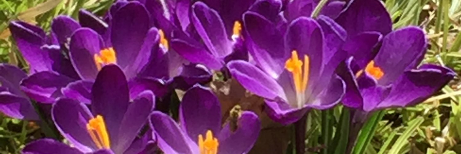 Kapil Khetan 🌻 banner