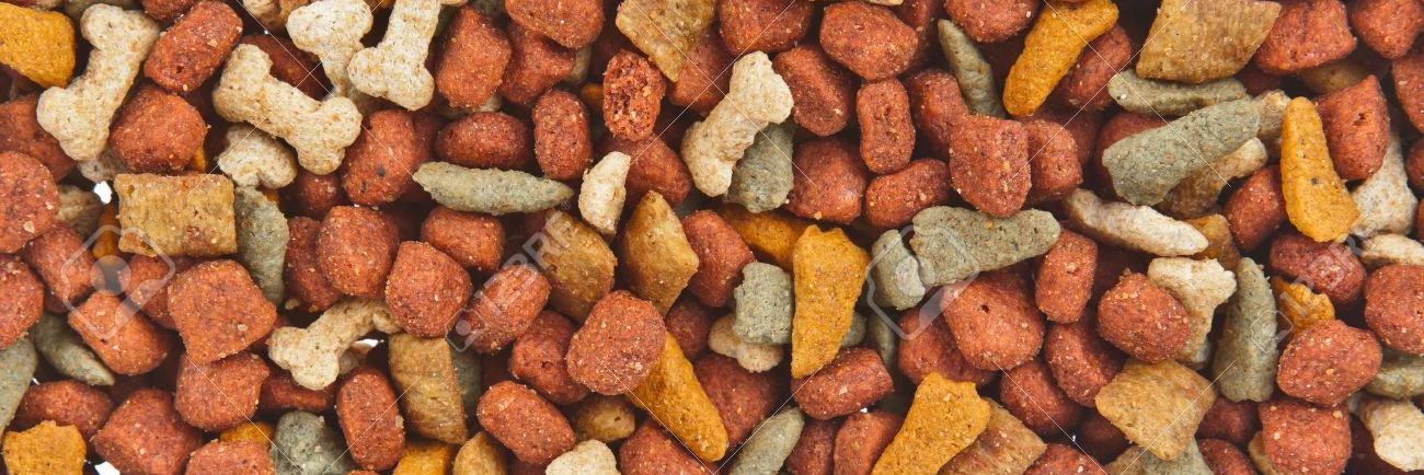 KevynAndDug's profile banner image