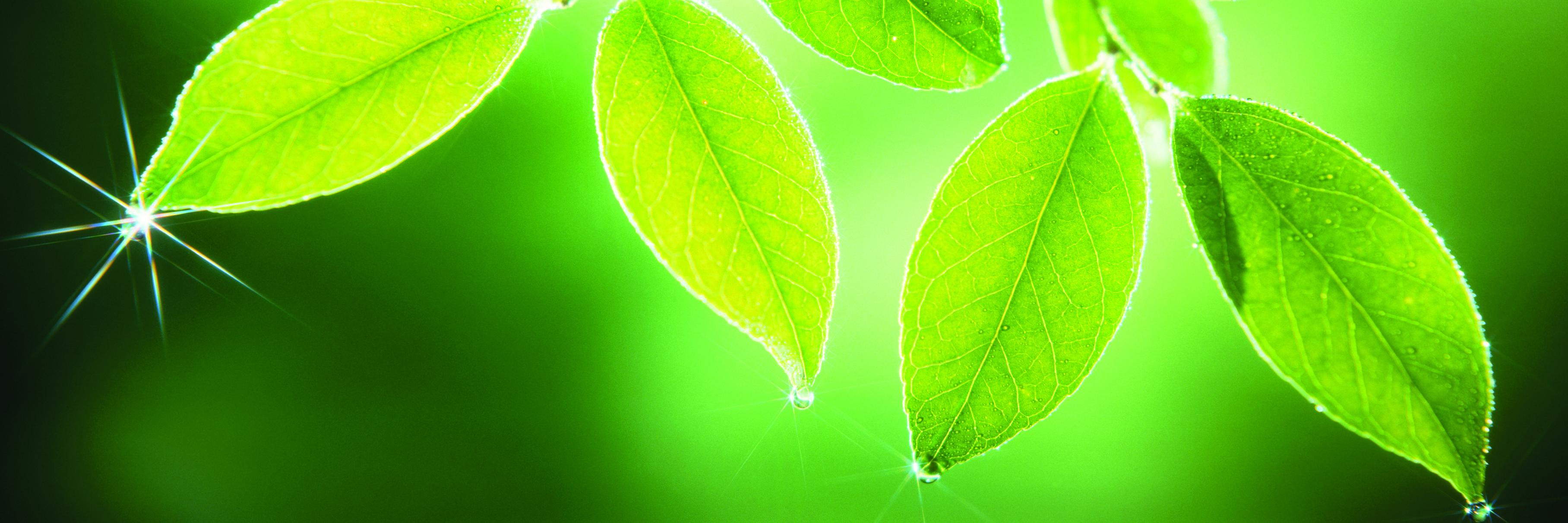 AAB @aabiologists.bsky.social's banner