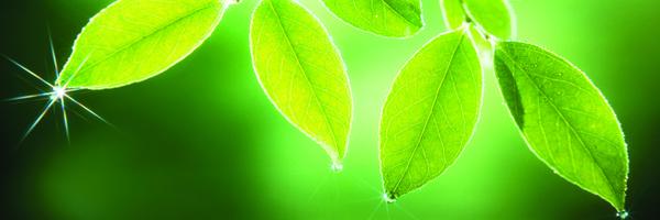 AABiologists Profile Banner